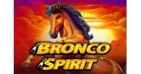Bronco spirit